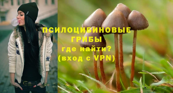 гидропоника Нея
