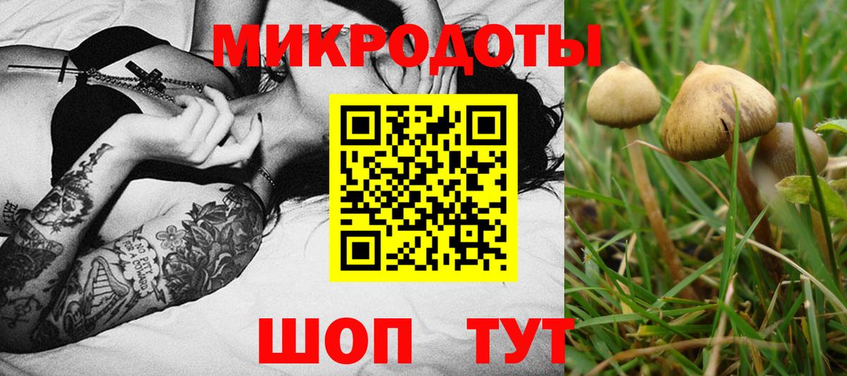 Кизилюрт  Галлюциногенные грибы GOLDEN TEACHER  Вход с VPN 