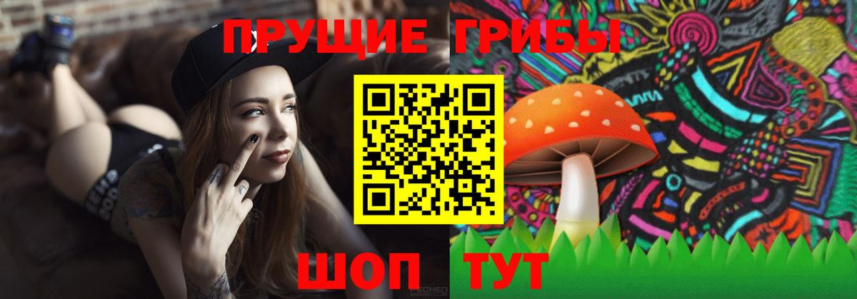 Галлюциногенные грибы Cubensis Кизилюрт